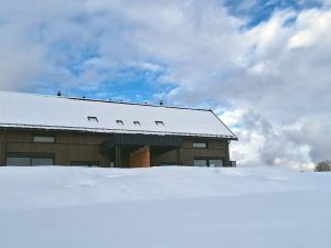 20260218_151101-scaled