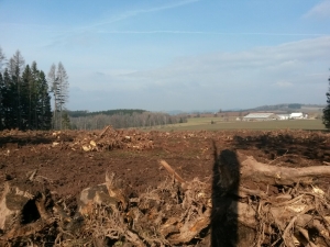 Areál Hraběnka Jilemnice